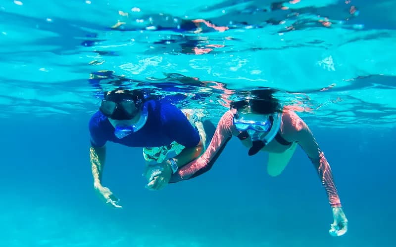 Come Snorkel with Us